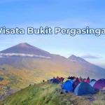wisata bukit pergasingan lombok