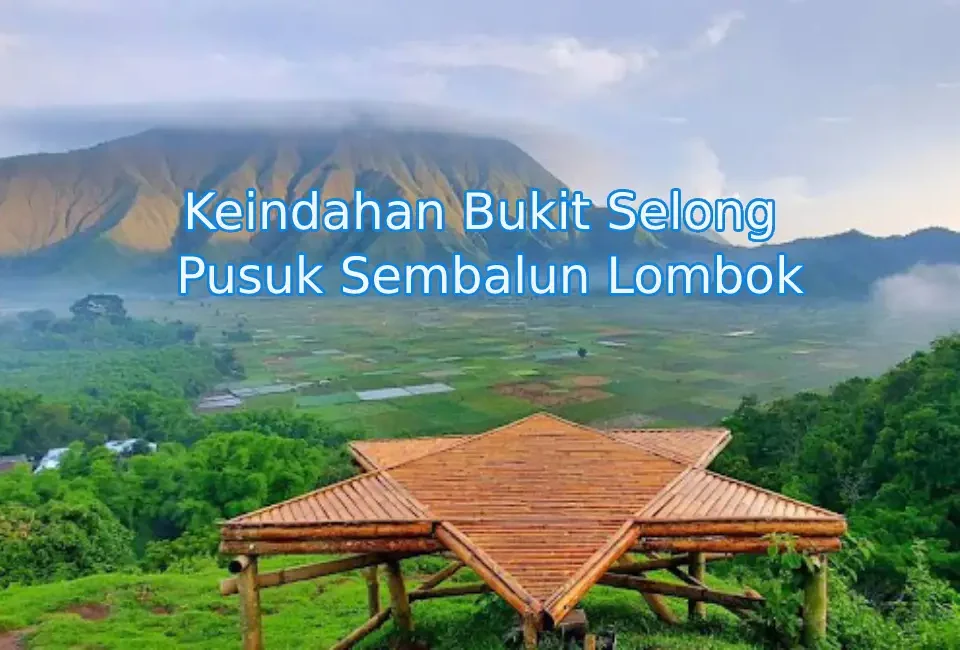 keindahan-bukit-selong-sembalun-lombok
