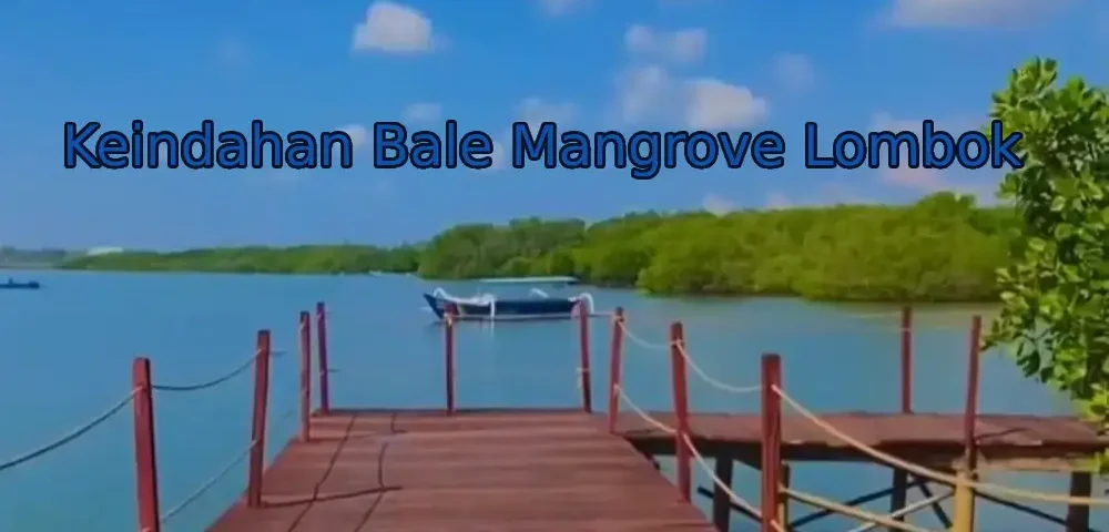 wisata-bale-mangrove-lombok