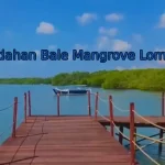 wisata-bale-mangrove-lombok