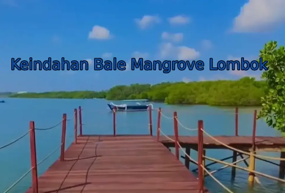 wisata-bale-mangrove-lombok