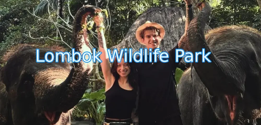 wisata-wildlife-park-lombok.