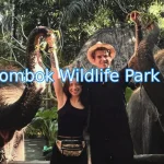 wisata-wildlife-park-lombok.