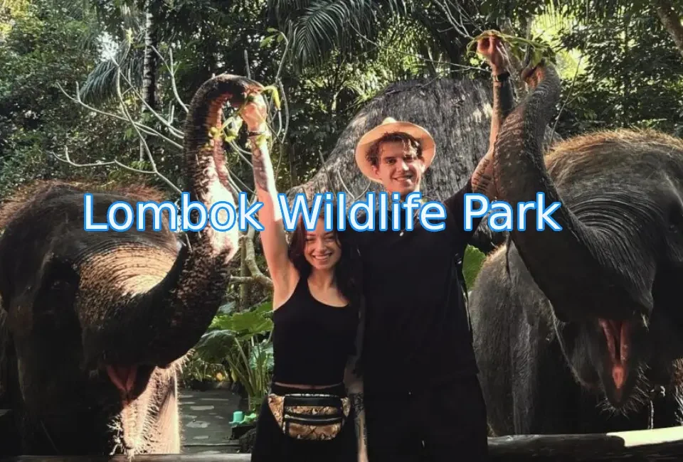 wisata-wildlife-park-lombok.