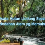 keindahan-alam-sesaot-lombk