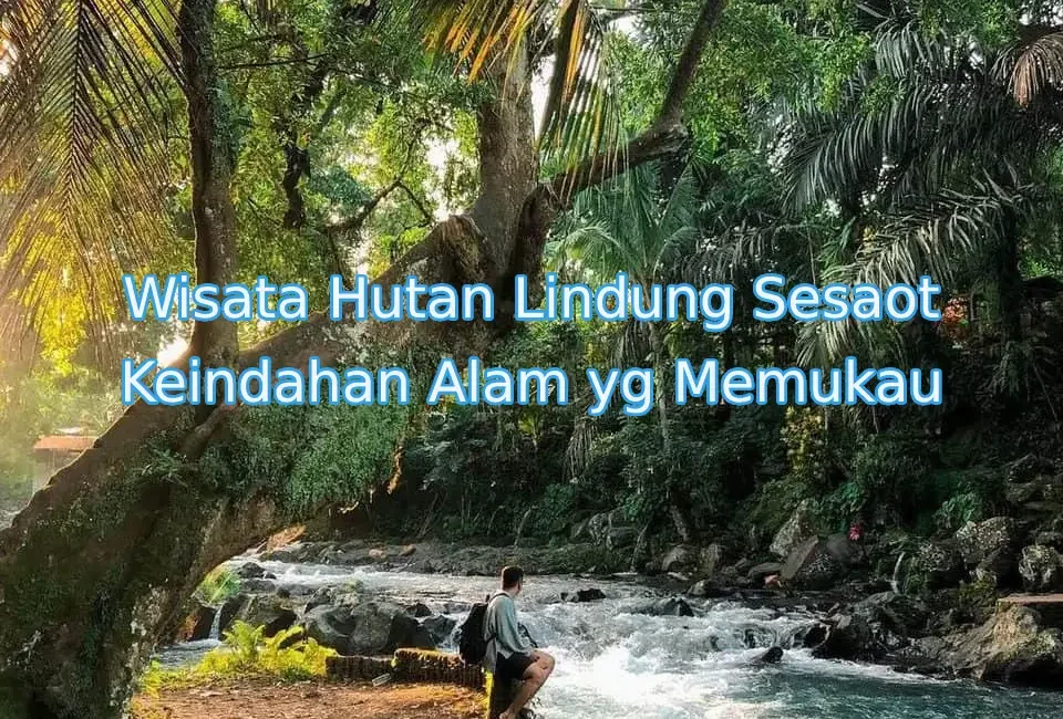 keindahan-alam-sesaot-lombk