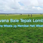 Keindahan-Savana-Bale-Tepak-Lombok