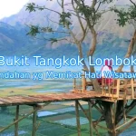Keindahan-Bukit-Tangkok-Lombok