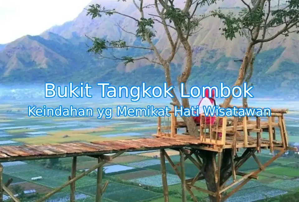 Keindahan-Bukit-Tangkok-Lombok