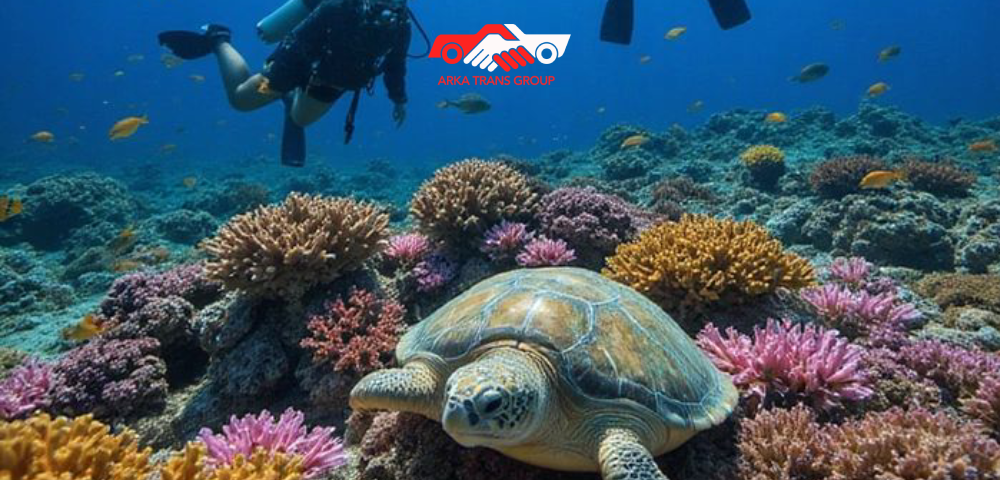 Jelajah Pantai Lombok dengan Paket Tour Hemat Arka Trans